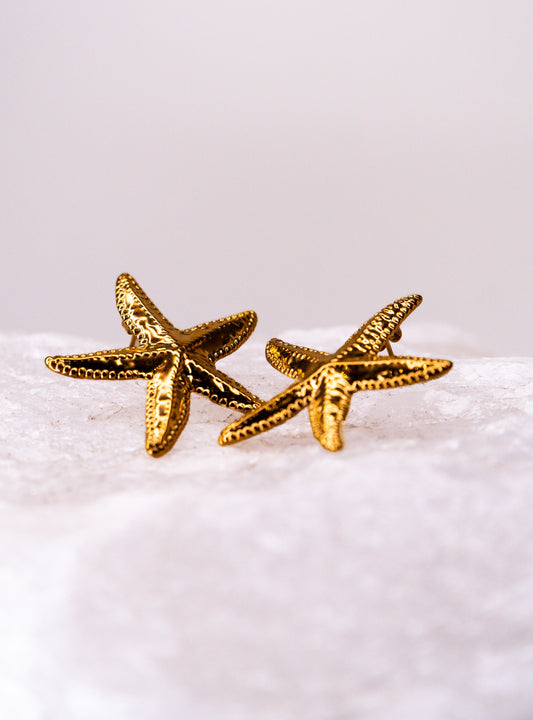 Aros Estrella Marina